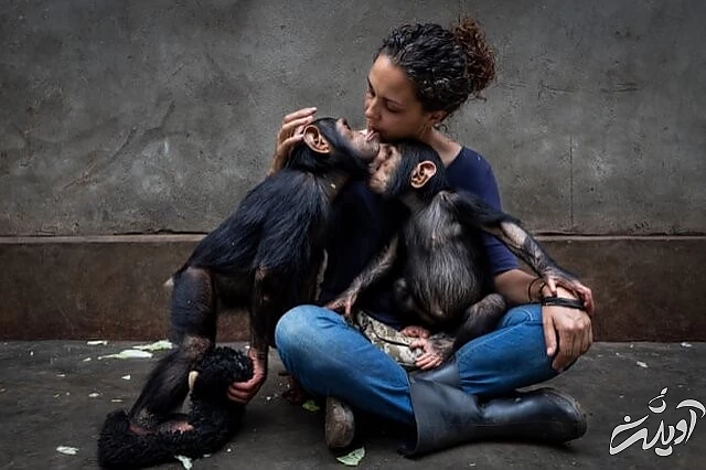 عکس های حیاتوحش برگزیده امسال را تماشا کنید